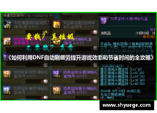 《如何利用DNF自动刷疲劳提升游戏效率和节省时间的全攻略》